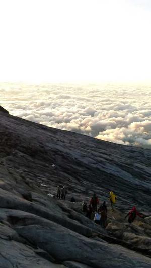 钟楚曦黑料截图1